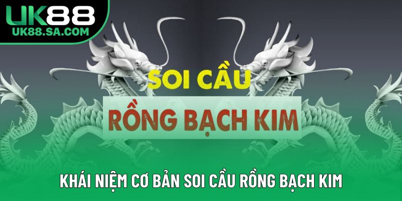 Khái niệm cơ bản soi cầu rồng bạch kim